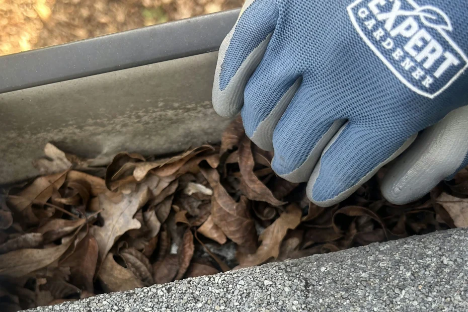 Waterford Gutter Cleaning